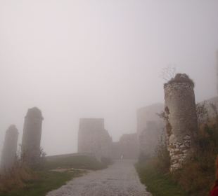 Eingangsbereich im Nebel am Morgen