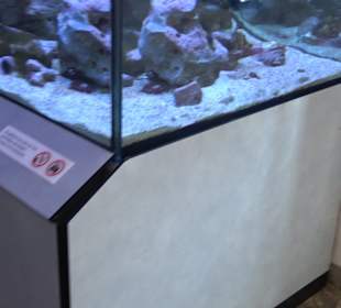 Staatliches Naturkunde Museum