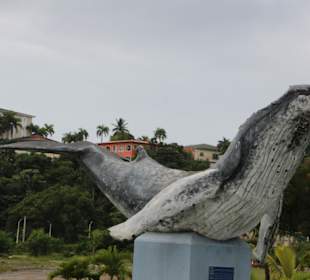 Halbinsel Samana
