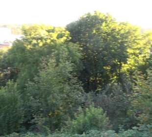 Burghalde
