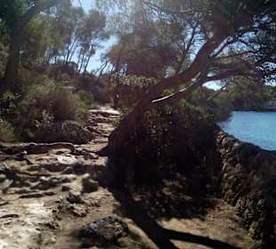 Küstenwanderung Cala Mondrago in Cala Mondrago