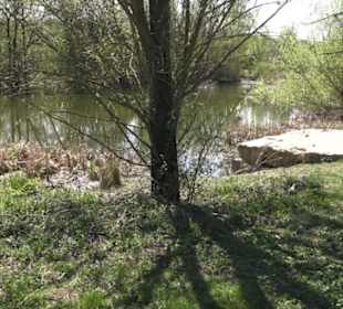 Sport- und Freizeitpark Markwasen