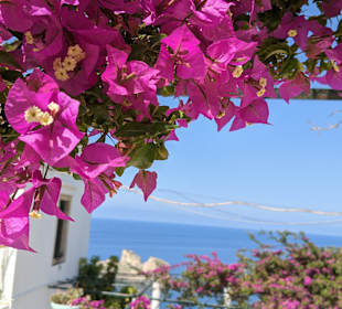 Inselrundfahrt Korfu