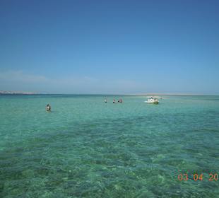 Schnorchel Ausflug TOP