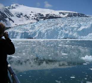 Aialik Gletscher