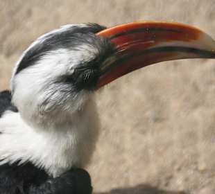 ZOOM Erlebniswelt Gelsenkirchen