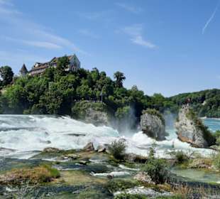Blick von der nördlichen Rheinseite
