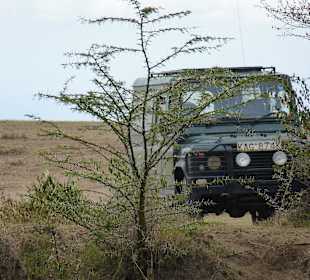Unser Landrover Lenny