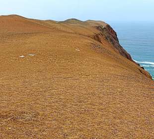 Nationalreservat Paracas
