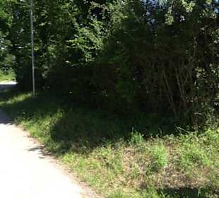 Sportgelände Holzelfingen