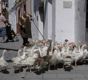 Mittelalterliches Burgfest