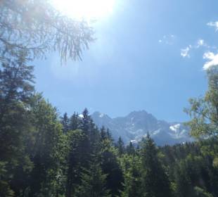 Eindruck von einem Spaziergang rund um den Eibsee