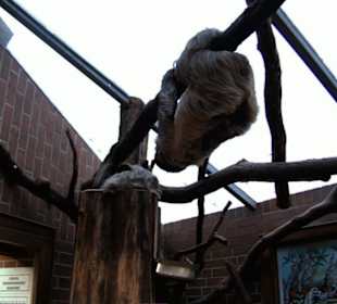 Zoo Dortmund - Die Tiere