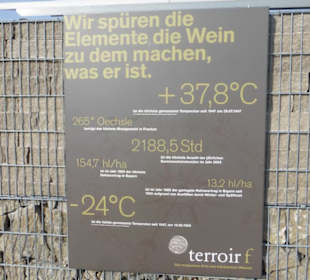 Terroir-f-Punkt - bei der Vogelsburg