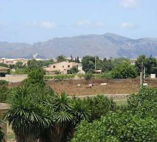 Auf der Burg in Alcudia