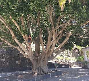 Wandern La Caleta de Adeje