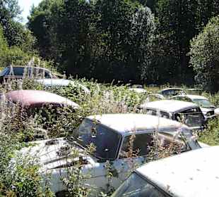 Autofriedhof am Foxen