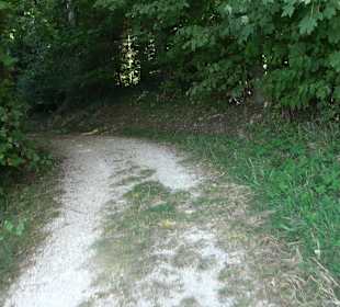 Bussen Schöpfungsweg Offingen