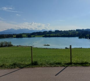 Forggensee 
