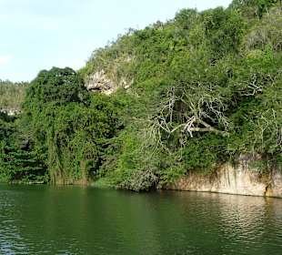 Safari Tour Fluss Chavon