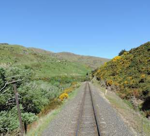 Mit der Taieri Railway durch die Natur Neuselands