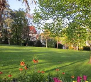 Promenade Friedrichshafen