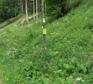 Tiefental Aichstetten