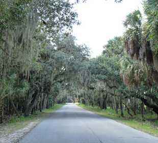 Myakka River State Park