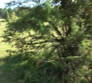 Premiumwanderweg "hochgesprudelt"