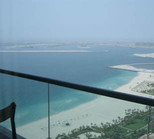 Blick auf die Palme von Oasis Tower