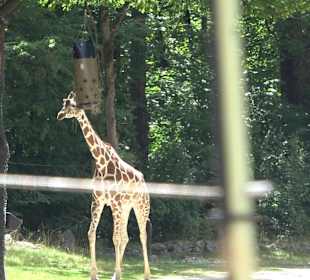 Tierpark Hellabrunn
