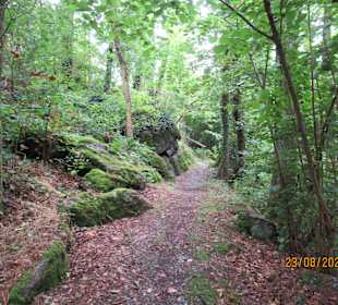 Wandern Kollnburg