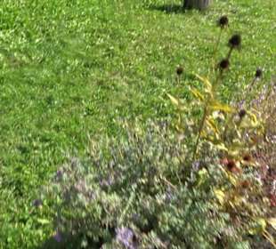 Brunnenhaus Upfingen