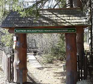 "Eingang" zum  Moorwasserbecken !