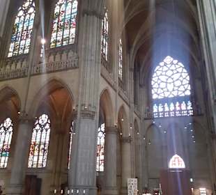 Maria-Empfängnis-Dom Linz in Linz