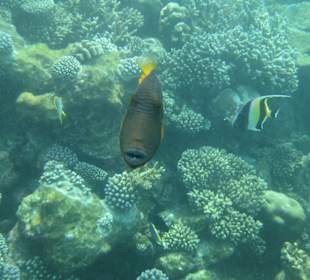 Was machst du denn da?!