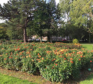 Tralee Stadtpark