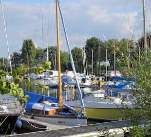 Eindrücke vom Spaziergang am Wieltsee