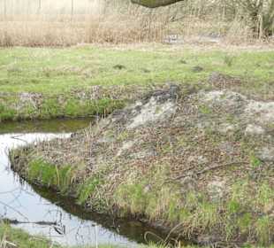 Naturschutzgebiet Boberger Niederung