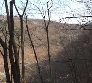 Wolfsschlucht