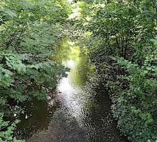 Kurpark Bad Tatzmannsdorf