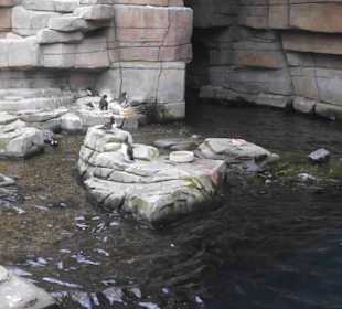 Tierpark Hagenbeck