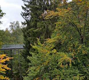 Baumwipfelpfad Harz