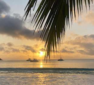 Strand Anse Lazio