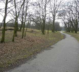 Naturschutzgebiet Boberger Niederung