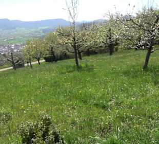 Wanderung Florianrunde