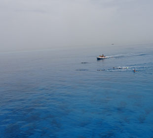 Delfin Tour Hurghada