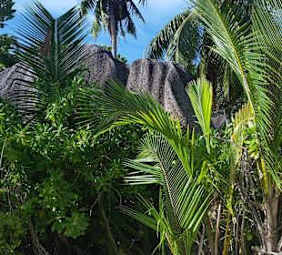 Meega Strand auf Grande und Petite Anse