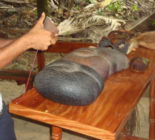 Ausflug/Vallée de Mai