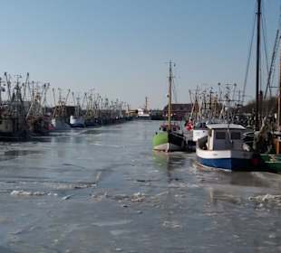 Hafen Büsum